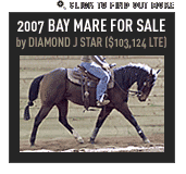 RUBYS DIAMOND